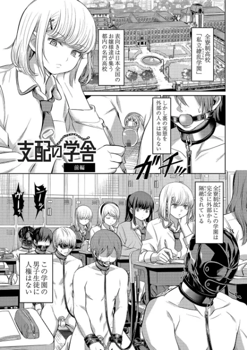 〈エロ漫画〉ざ・ふぃめーる・どみねーしょん【デジタル特装版】|作者：山畑璃杏 COMIC快艶編集部 試し読みサンプル 5ページ目