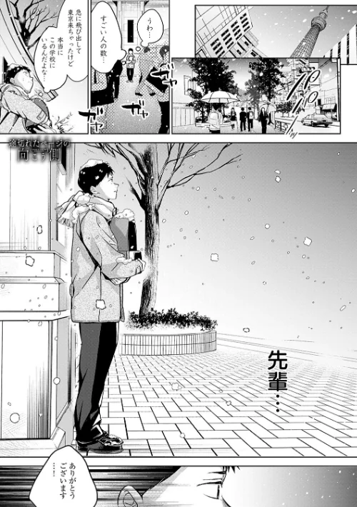〈エロ漫画〉雪ふって、恋かたまる【デジタル特装版】|作者：波乗かもめ 試し読みサンプル 19ページ目