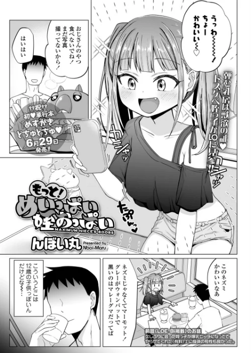 〈エロ漫画〉もっと！めいっぱい姪おっぱい（単話）|作者：んぼい丸 試し読みサンプル 2ページ目